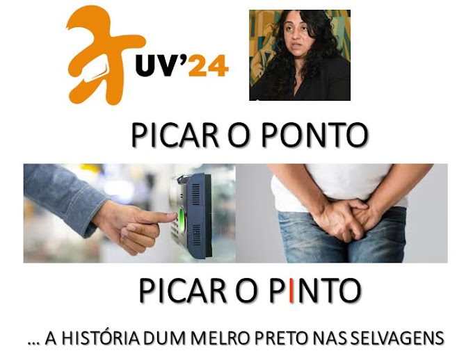 Picar o ponto/Picar o pinto... ou a história de um melro preto nas Selvagens